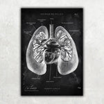 5er Paket Chalk Edition - Bestseller - Animus Medicus GmbH