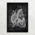 5er Paket Chalk Edition - Bestseller - Animus Medicus GmbH