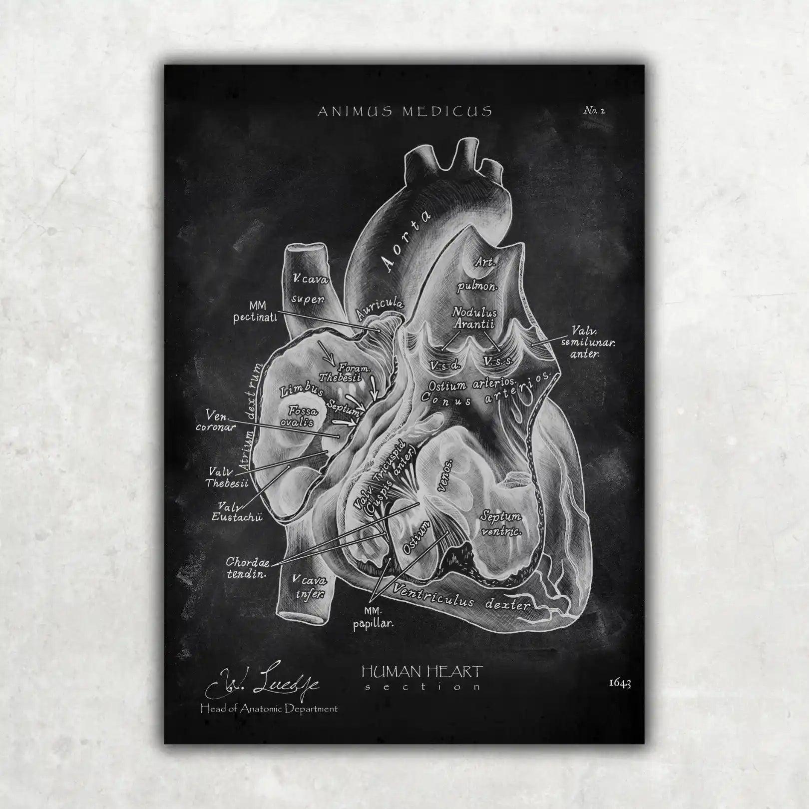 5er Paket Chalk Edition - Bestseller - Animus Medicus GmbH