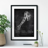Arm Anatomie ventral - Chalkboard