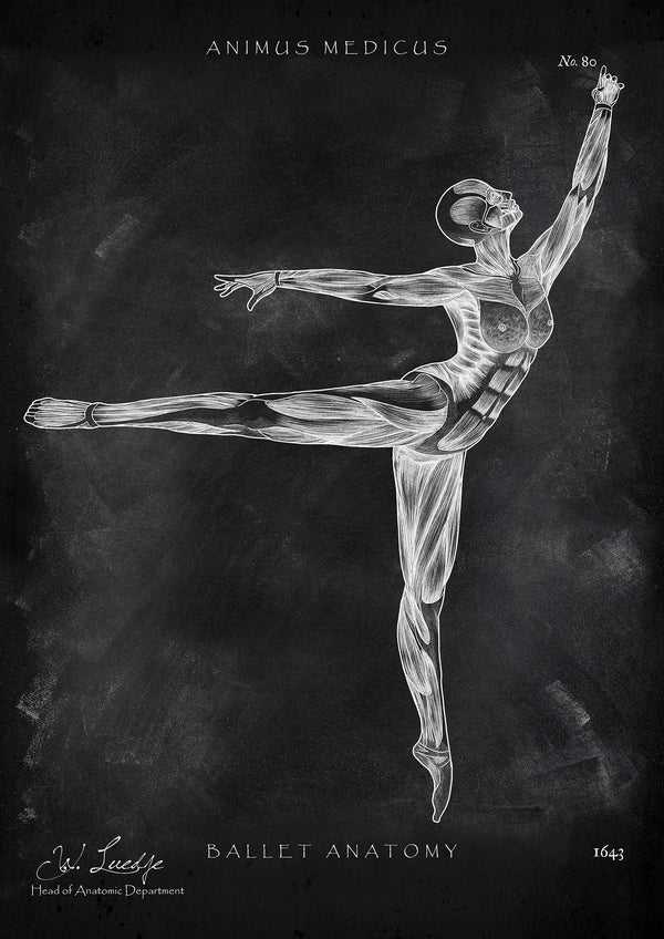 Ballett Anatomie Poster - Chalkboard