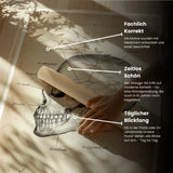 Schädelknochen Anatomie