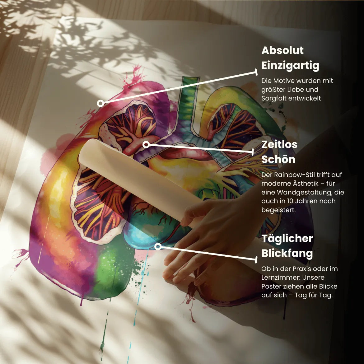 Lungen Anatomie - Rainbow