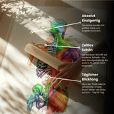 Rücken Anatomie - Rainbow