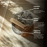 Schädelbasis Anatomie