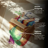 Herz Anatomie - Rainbow