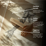 Arm Anatomie ventral