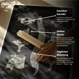 Wirbelkörper Anatomie - Chalkboard