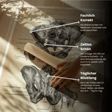 Hüftgelenk Anatomie