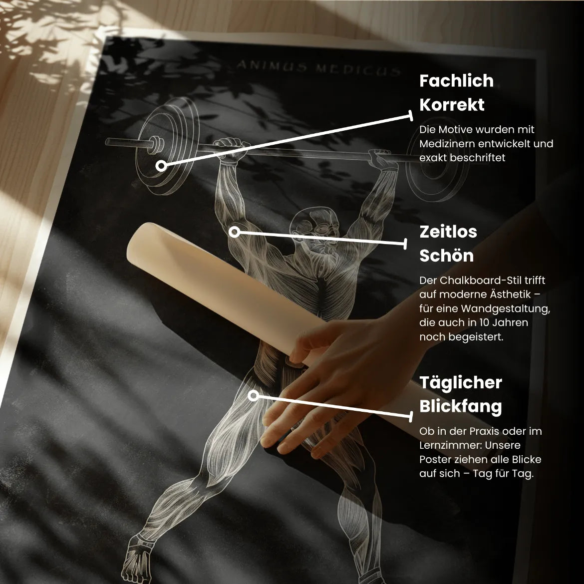 Gewichtheben Anatomie Poster - Chalkboard