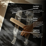 Beinmuskulatur Anatomie - Chalkboard
