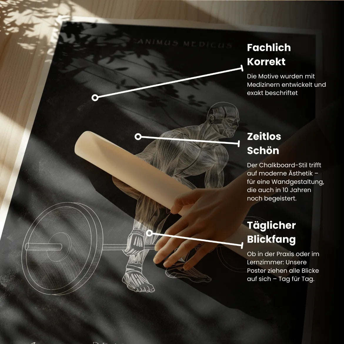 Deadlift Anatomy Poster - Chalkboard