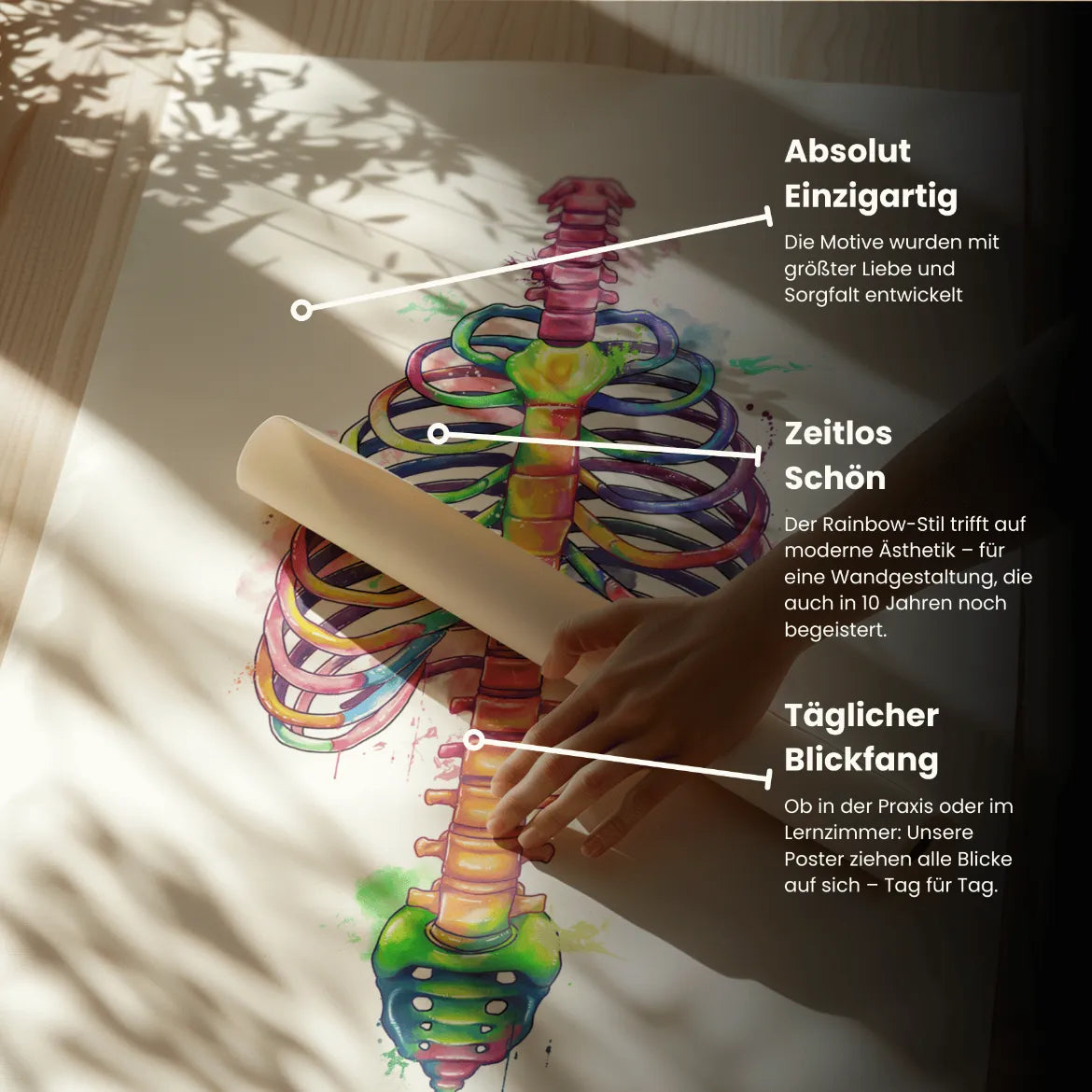 Thorax Anatomy - Rainbow