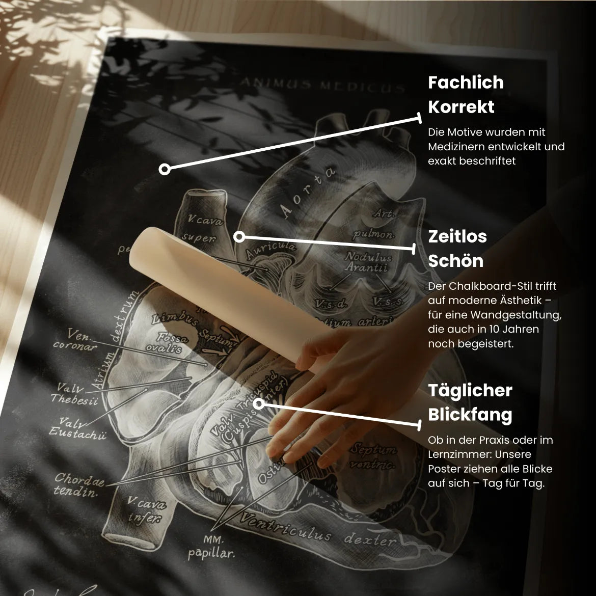 Herz im Schnitt - Chalkboard