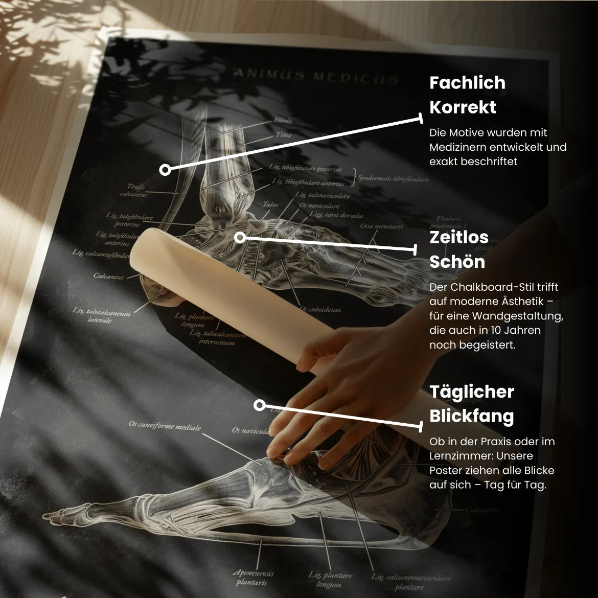 Foot Straps - Chalkboard
