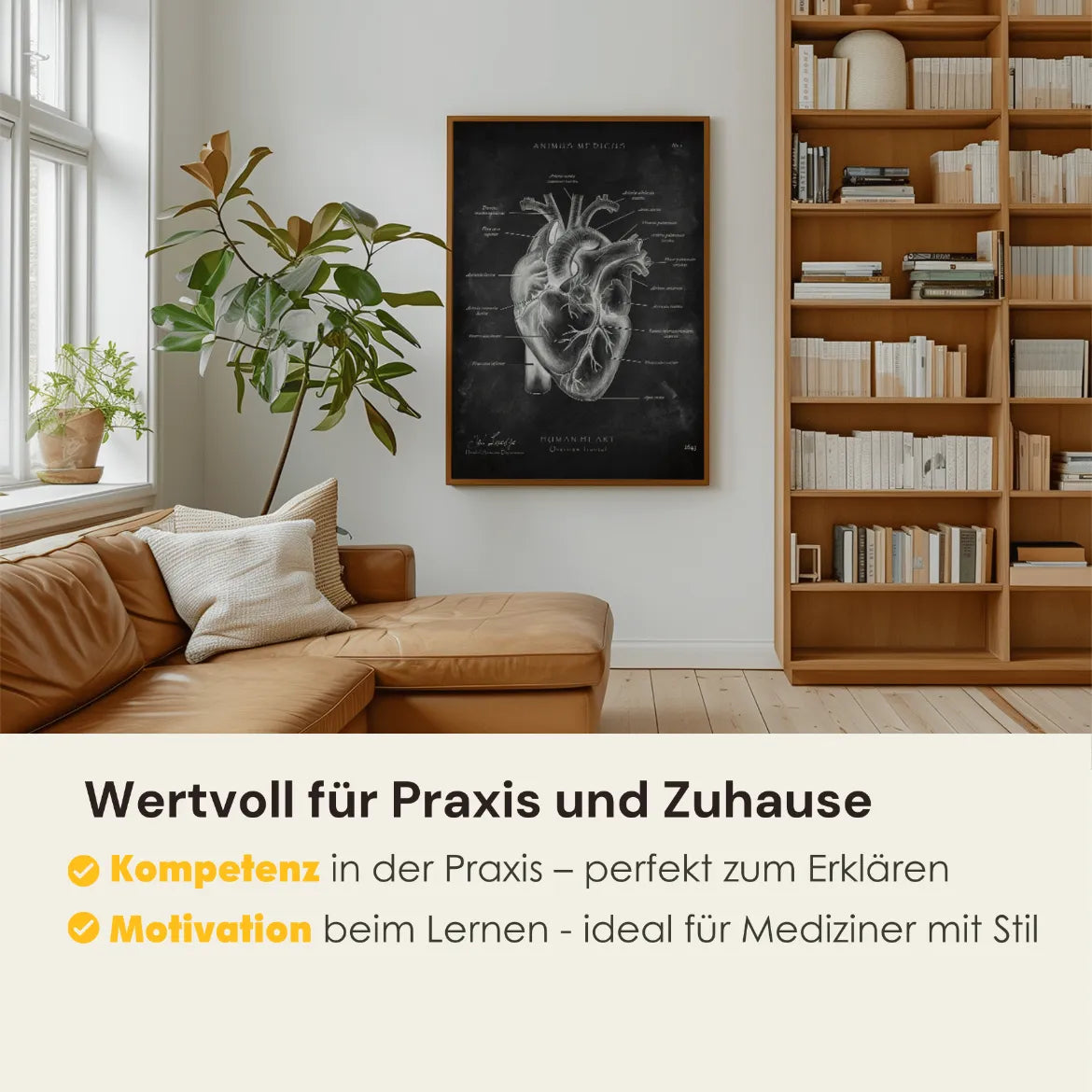 Herz Anatomie - Chalkboard