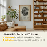 Die Gesicht Anatomie