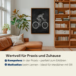 Rennrad Fahrer Anatomie - Chalkboard - Animus Medicus
