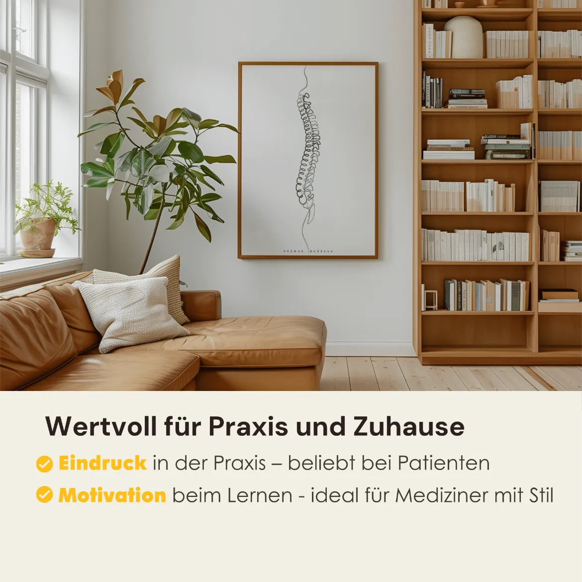 Wirbelsäule Anatomie Minimalist