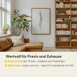 Spine Anatomy Minimalist