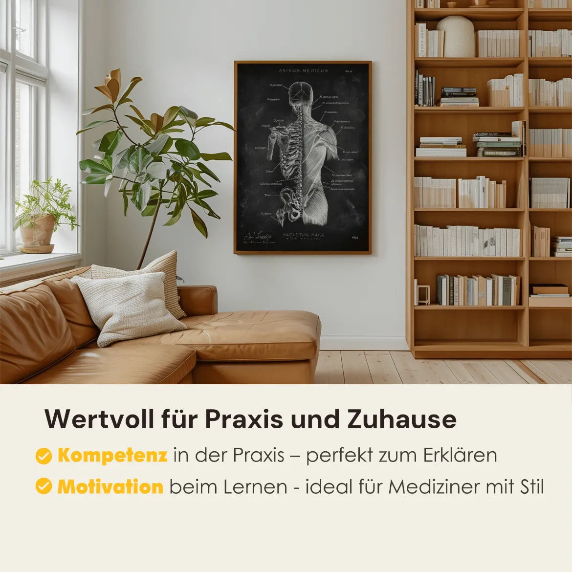 Rücken Anatomie | Knochen und Muskeln - Chalkboard