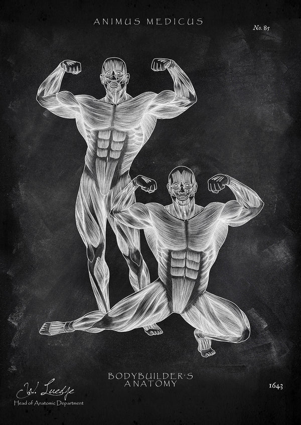 Bodybuilder Anatomie Poster - Chalkboard