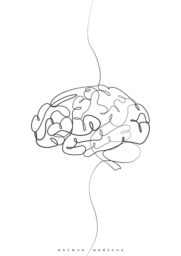 Gehirn Anatomie Minimalist