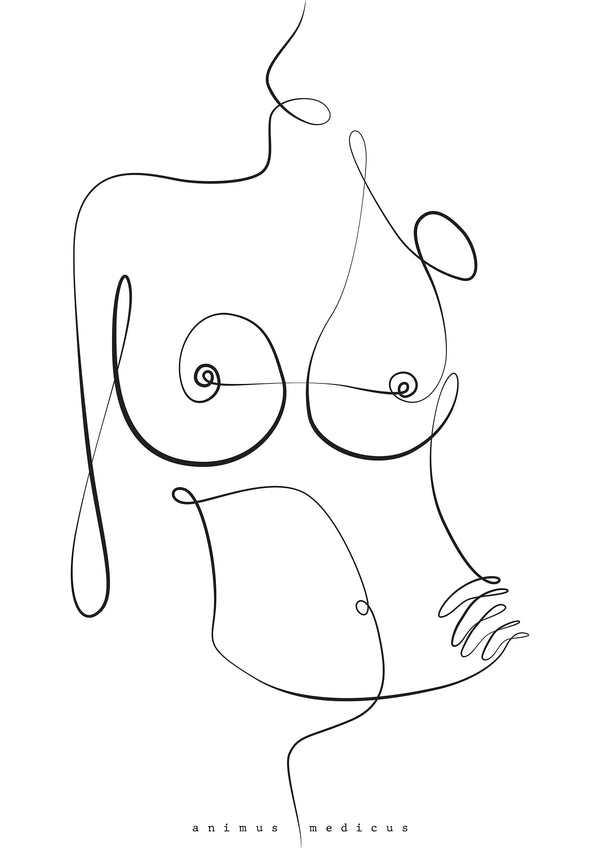 Brust Anatomie Minimalist