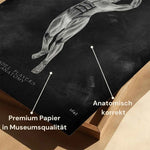 Padel Tennis Anatomie - Chalkboard