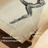 Turnen Anatomie Poster II