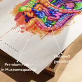 Abdomen Anatomie - Rainbow
