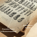 Overview of Teeth