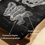 Hip Joint Anatomy - Chalkboard