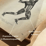Tennis Anatomie Poster