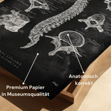 Vertebral Body Anatomy - Chalkboard