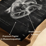 Heart Anatomy - Chalkboard