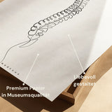 Spine Anatomy Minimalist