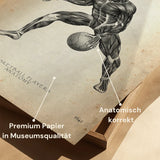 Basketball Anatomie Poster
