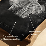 Shoulder Muscles - Chalkboard