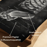 Shoulder Joint Anatomy - Chalkboard