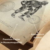 Kreuzheben Anatomie Poster