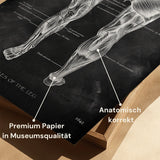 Leg Muscle Anatomy - Chalkboard