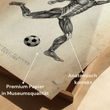 Fußball Anatomie Poster