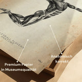 Volleyball Anatomie Poster