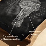 Rotator Cuff Anatomy - Chalkboard