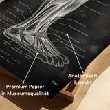 Unterschenkel Muskeln - Chalkboard
