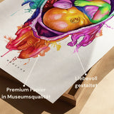 Baby Anatomie - Rainbow