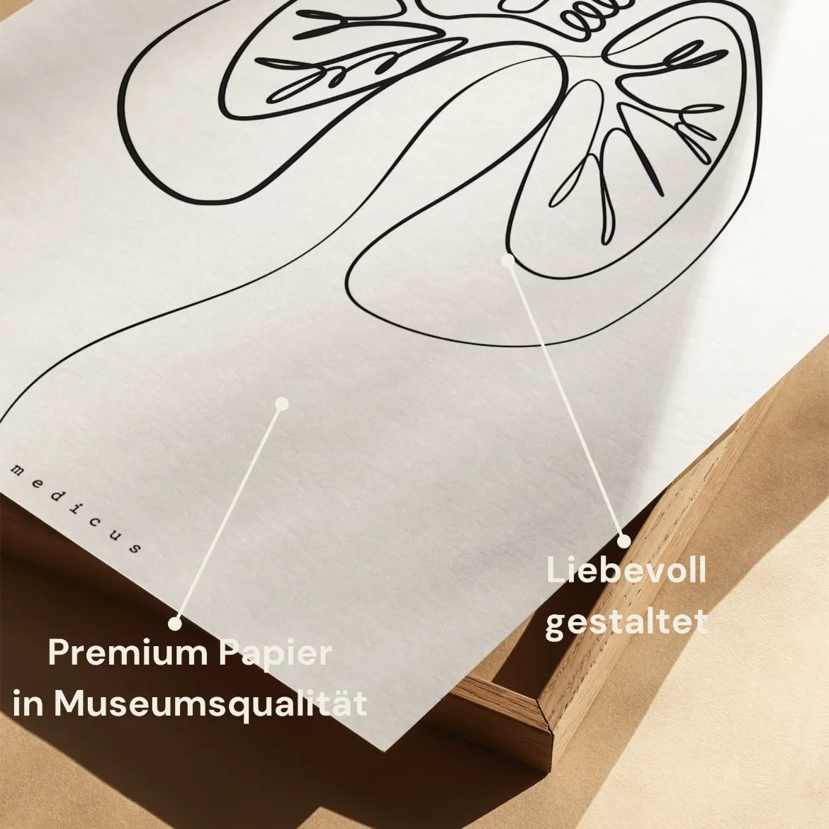Lungen Anatomie Minimalist