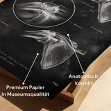 Schulter Impingement - Chalkboard
