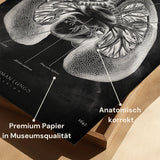 Lung Anatomy - Chalkboard